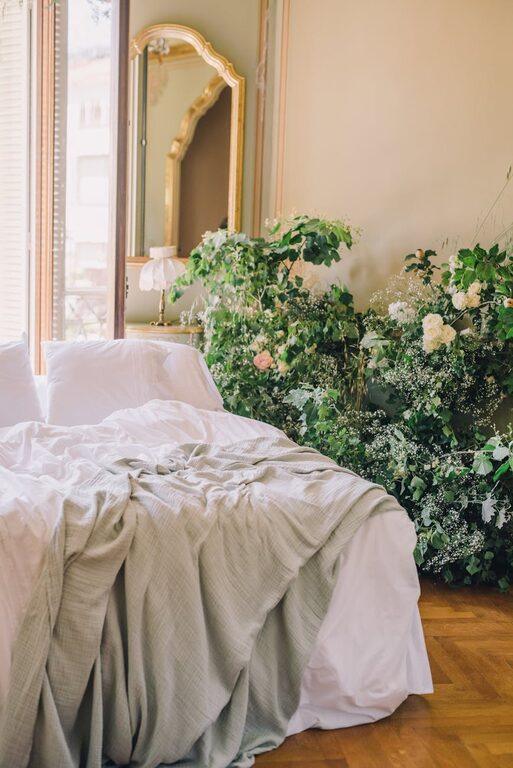 How to Refresh Your Home with Plants: A Simple Guide