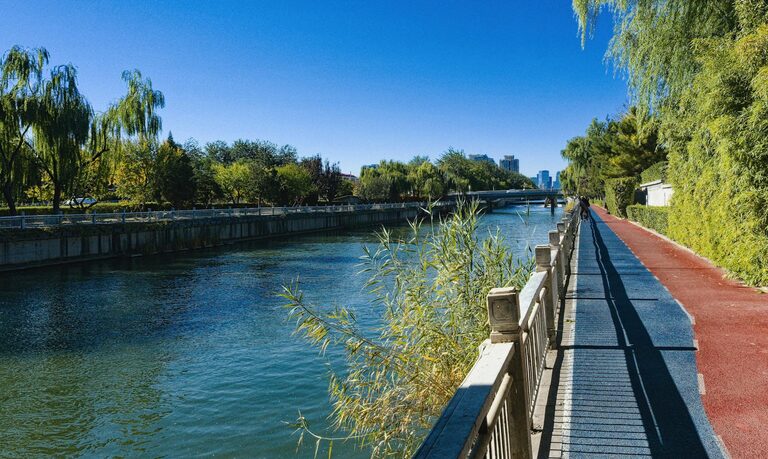 Easy Ways to Add More Movement to Your Day for Better Health